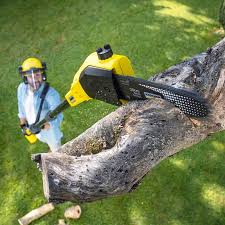 Best Tree Trimming and Pruning  in Mammoth Spring, AR